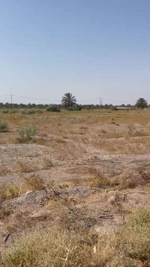 ٨ دوانم • سند ٢٥ • البصام