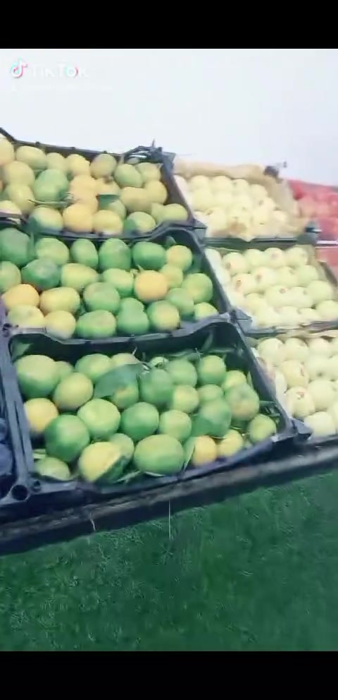 السبهاني • ١٠/١٩ • توصيل