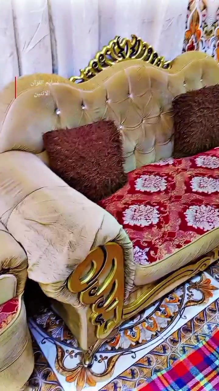 تخم ملكي للببع السعر ب350وبي مجال مكاني البصرة الاصمعي الجديد***********