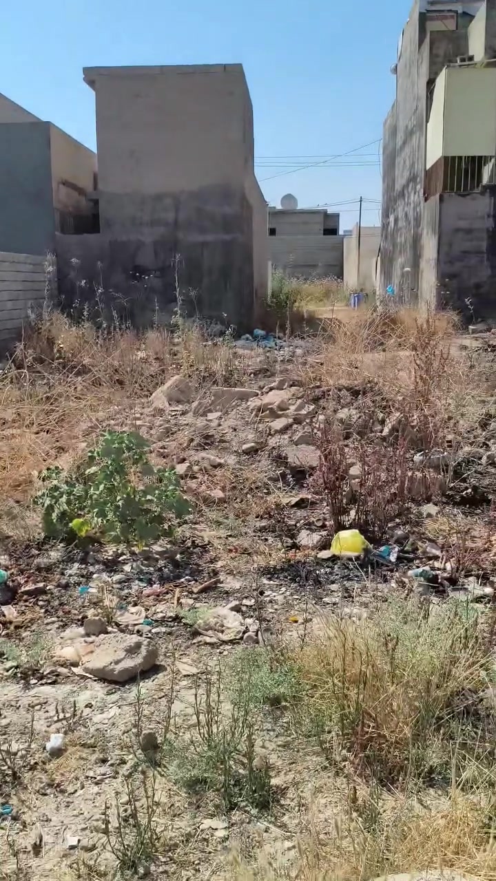 قطعة 200 متر للبيع حي بدر قرب جسر المعارض خلف عقارات الإبراهيمي قريب كلش من الشارع العام ، خدمات ماي و كهرباء كامل تبليط فترة قليلة و يجي لأن واصل الفرع الوراي و القطعة بأتجاه الشمس و الفرع هادئ و مرتب،  السعر 48 وبي مجال
قطعة 200 متر للبيع حي بدر قرب جسر المعارض خلف عقارات الإبراهيمي قريب كلش من الشارع العام ، خدمات ماي و كهرباء كامل تبليط فترة قليلة و يجي لأن واصل الفرع الوراي و القطعة بأتجاه الشمس و الفرع هادئ و مرتب ، السعر 48 وبي مجال.
الشراي يخابر ***********
