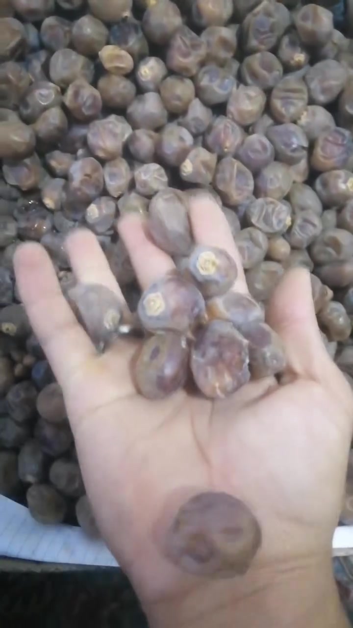 البصرة • قضاء القرنة