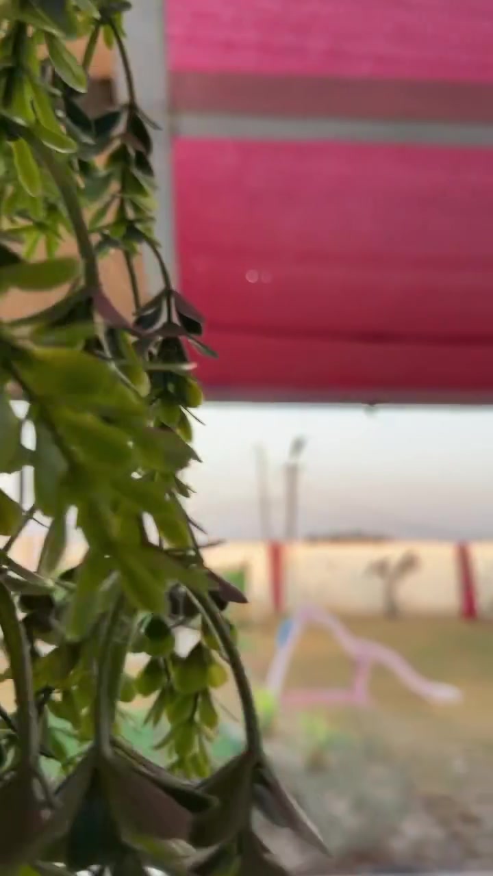 أهلاً وسهلاً بكم في مزرعة الغوالي 🏖️
في بغداد، أبو غريب سريع الغزالية🌈
! نرحب بكم في مكان يجمع بين الطبيعة والجمال و الهدؤء🌴
. استمتعوا بالشلال الرائع 🌊
والمسبح المنعش 💦
والجلسات الخارجية المريحة 🧘🏻‍♂️
كما تتوفر جلسات في الحديقة وألعاب ممتعة 🎢
بالإضافة إلى منطقة الباربكيو لتجربة مميزة🔥
للحجز و الاستفسار 
 📱***********.
 ***********.#مزارع #مزارع_ابوغريب #مزارع_العراق #مزارع_بلد_السياحيه_⚜️❤️
