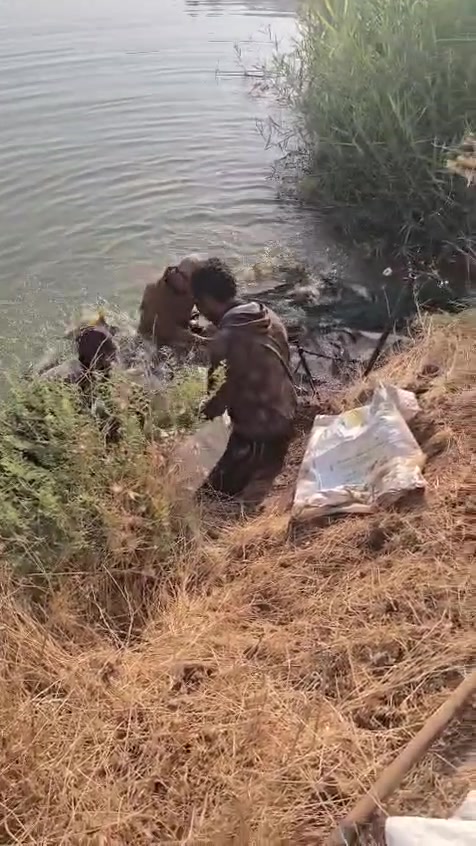 🌹✨ بمناسبة مولد خير الأنام ونبي الرحمة محمد ﷺ ✨🌹
احتفالًا بذكرى مولد نبينا وحبيبنا محمد ﷺ، يسرّ محل أسماك حمودي أن يقدم لكم عروضًا مميزة بهذه المناسبة المباركة ❤️
🔥🐟 سعر كيلو السمك المشوي فقط ٥٥٠٠ 🍗🔥 سعر الدجاجة الذبح والمشوية على الحطب فقط ١٠ آلاف
لا تفوّتوا عروض المناسبة... الطعم الأطيب والسعر الأفضل 😋🔥
كل عام وأنتم بألف خير، وأكثروا من الصلاة والسلام على رسول الله ﷺ 🤍
📍 محل أسماك حمودي
#أسماك_حمودي #اسعار_تنافسية_جوائز_وعروض 
***********
***********
