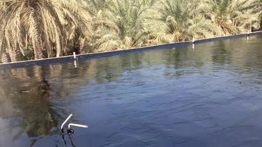 🏠 بيتك أمانة.. احميه من الرطوبة 
        قبل ما تبدأ الشتوية! 🌧️

نقدم لكم أفضل خدمات عزل الأسطح وأساسات المنازل بالـقير (الزفتة) بأعلى جودة وكفاءة احترافية.

خدماتنا تشمل:
عزل أسطح المنازل والمباني (الجديدة والقديمة).

عزل أسس البناء والقواعد لحمايتها من المياه الجوفية والرطوبة.

معالجة التشققات والتسريبات وفحص السطح بالكامل
للتواصل *********** محمد التميمي
