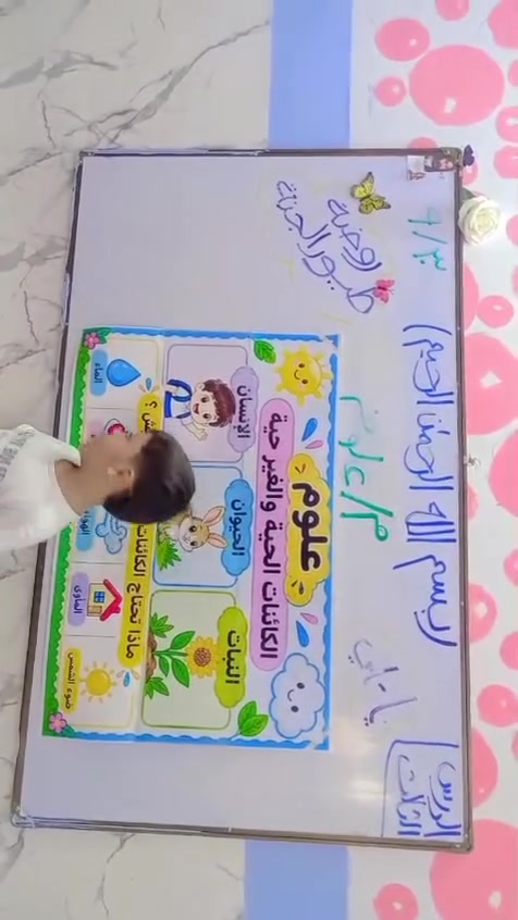 اعلان اعلان اعلان 📣 🌹🔥🔥
روضة طيور الجنة الاهلية
 تستقبل اطفالها الحلوين 🤗🤗 التسجيل مستمر من الان ✍️✍️
سارعو بالتسجيل من اجل ضمان مستقبل افضل لأطفالگم      💖                                                                                                                                    
✨️مقاعد محدودة ✨️
تحضيري 🤩🤩
روضة😍😍
تمهيدي🥰🥰
مع وجود كادر تدريسي متخصص⭐⭐🤩🤩

  🔥🔥🔥⭐سارعو بالتسجيل 🙆‍♀️

 الإدارة متواجدة للتسجيل من الأحد إلى الخميس و اهلا وسهلا بكم💙💙
العنوان/ شارع دكتور جعفر الإبراهيمي في منطقة الخمستالاف رقم الاداره ***********يوجد خطوط لجميع المناطق مع وجود مس ترافق الخط  🤩🥰🥰💙
⭐⭐⭐🧿🧿🧿🧿🧿🧿🧿🧿🧿🧿

 ابطال روضة طيور الجنة ❤️❤️❤️
🥰🥰تسجيل مفتوح ان شاءالله
#الحسينية
#اكسبلور
