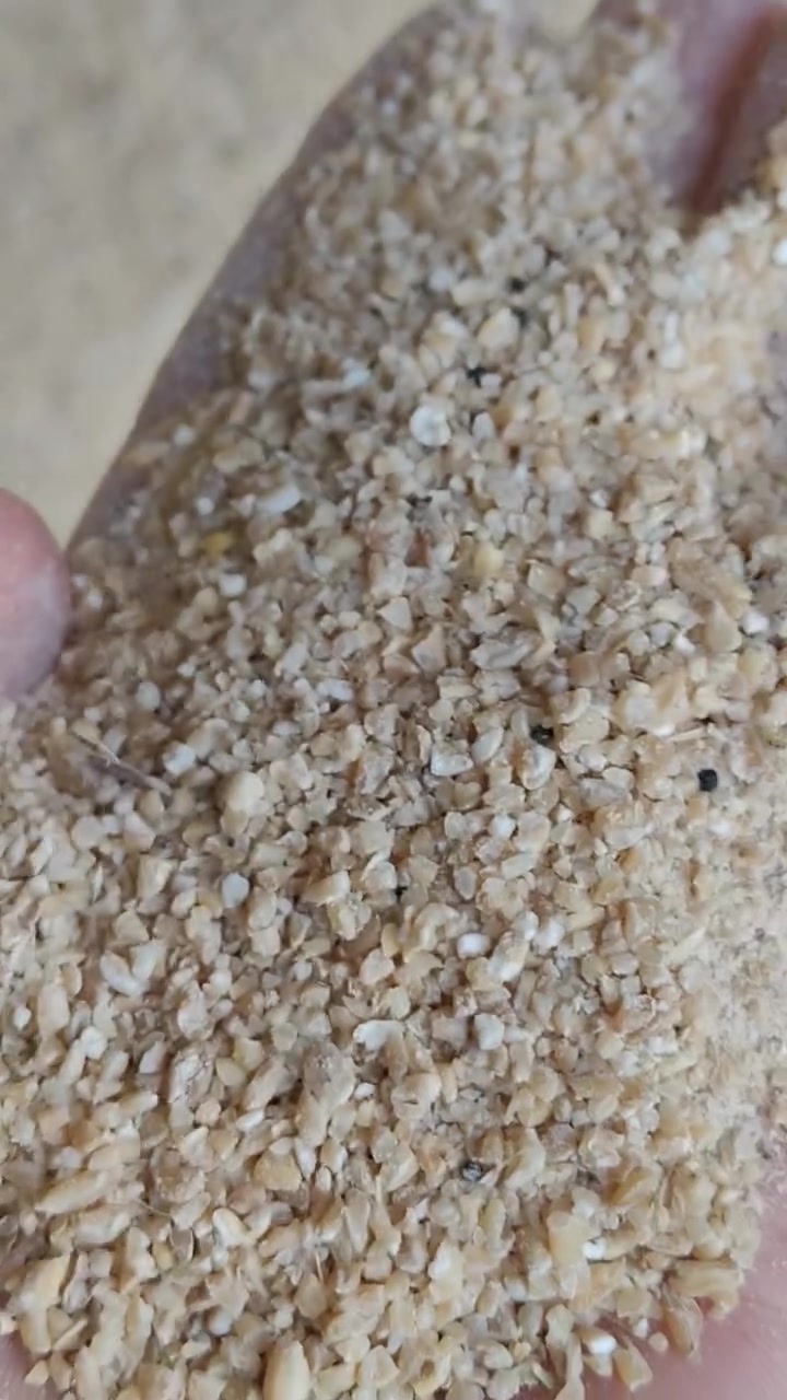 🌾 حنطة مجروشة للبيع 🌾

متوفر لدينا حنطة مجروشة بجودة جيدة وبكميات مفتوحة لتلبية جميع الطلبات. 

خشن ناعم وسط حسب الطلب💯

✅بيع بالجملة فقط 

📞 للاستفسار أو الحجز، ***********
أهلاً وسهلاً بالجميع.
