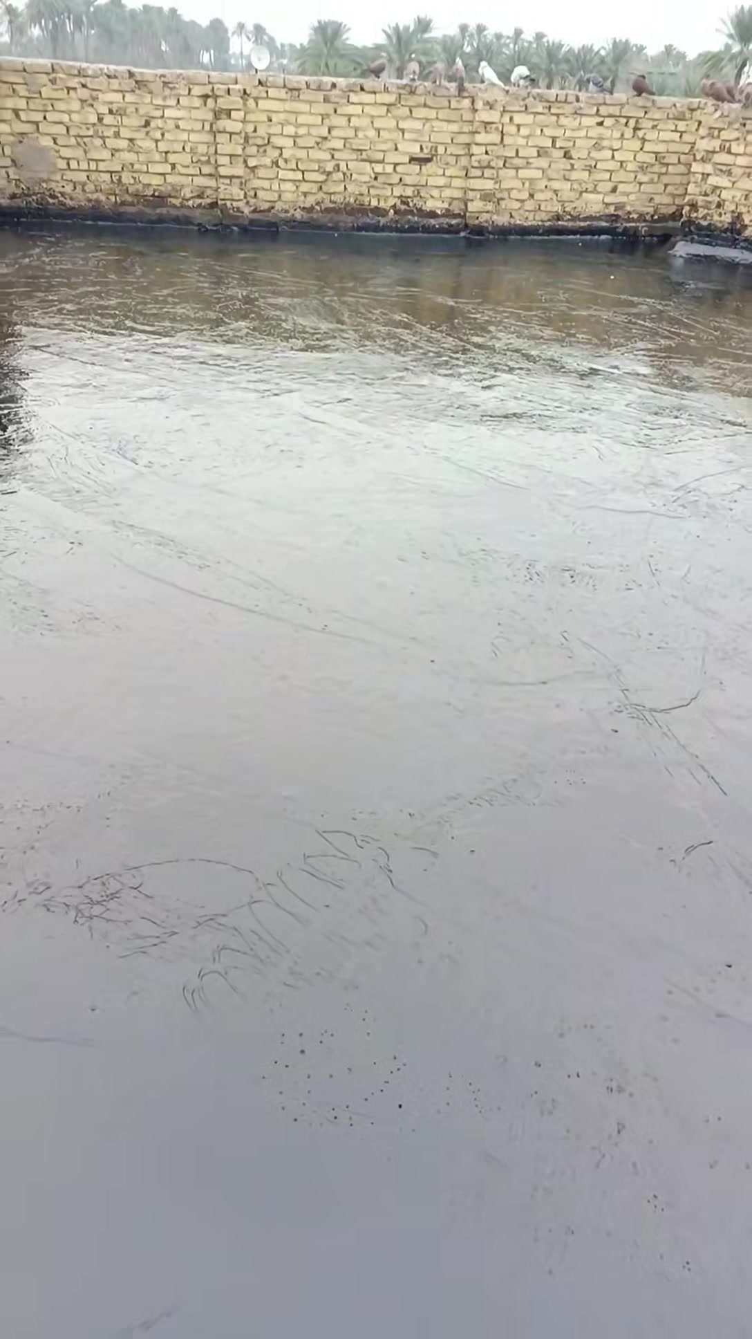 كادر عمل كير ماستك عمل درجه اولى كرسته وعمل ماستك كير فلانكوت  ابوقاسم ***********
