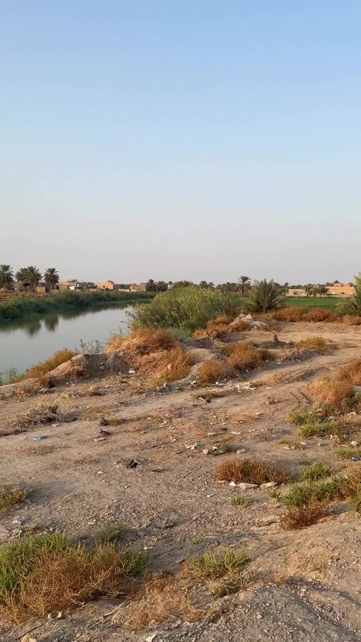 شط السوير • ٣ دونم • سند ٢٥