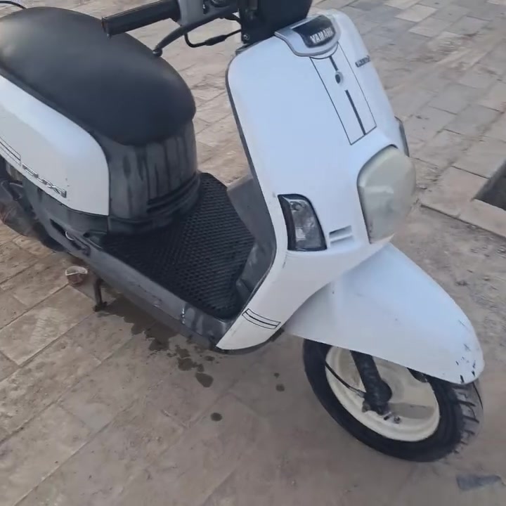 ماكس بولسي • نوزل • حله