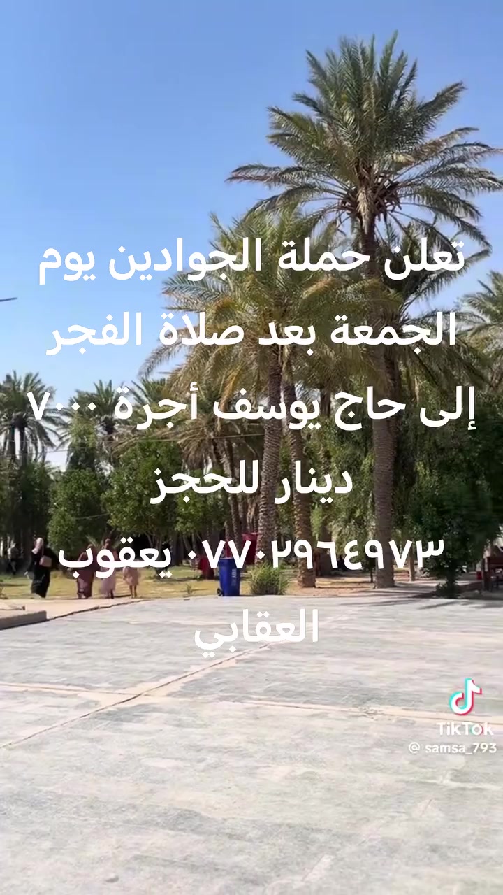لا توجد تفاصيل
