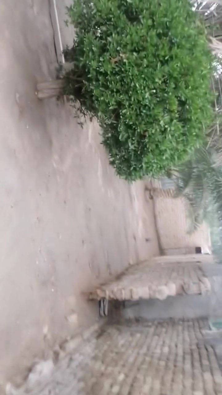 السلام عليكم
بيت اللبيع 
طابو زراعي سند 25 تحويل 
المساحه الكليه 1100
بل القرب من ثلاث مدارس ابتدائي متوسطه اعداديه 
خلف نبي.الله براهيم الخليل 
دار يحتوي على ثلاث غرف نوم استقبل هول ممر مطبخ صحيات دار نضيف مثل ما واضح بل الصوره  البيت اله مدخلين متوفره جميع الخدمات ماء كهربائية تبليط  
يبعد عن طريق حله نجف 6كيلو السعر خاص 
***********
