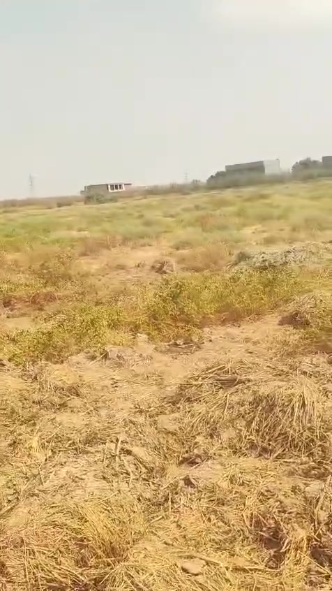 المدائن سلمان باك • ٧ ونص دونم • طابو ٢٥