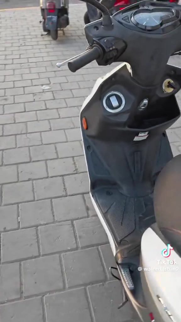 سكنس • ياباني • مكفولة