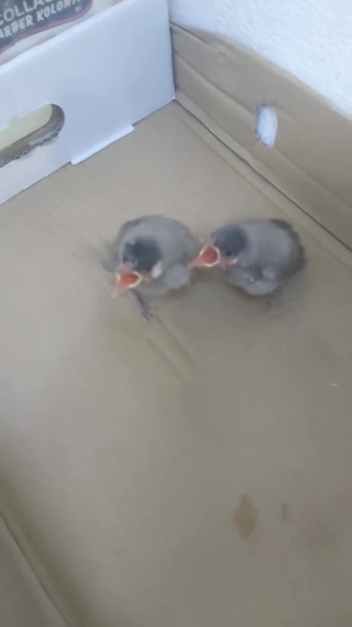 للبيع ***********
