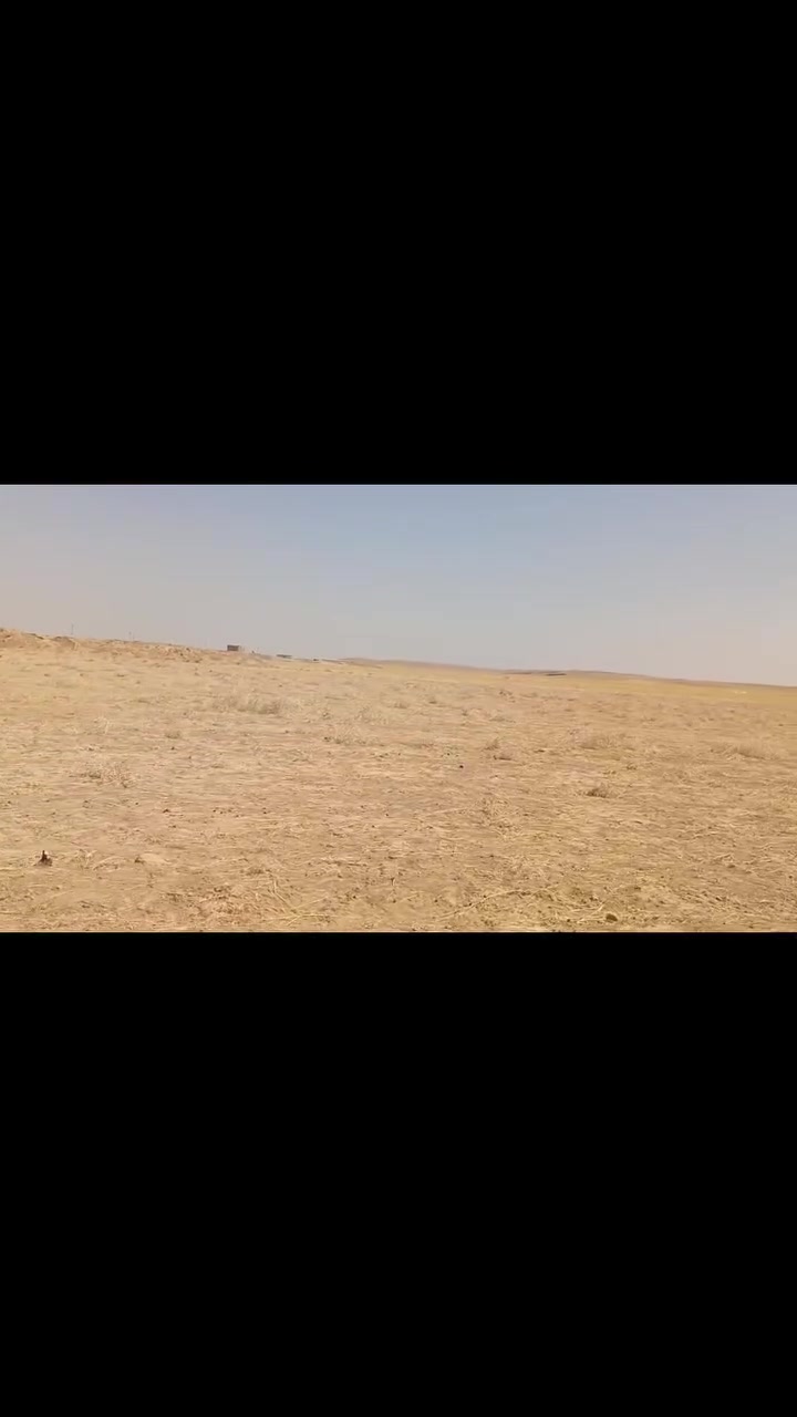 السلام عليكم توجد قطعه ارض للبيع مساحه 12 دونم الموقع بريه عويجيله قطعه حلوه مال سكن هاتف ***********
