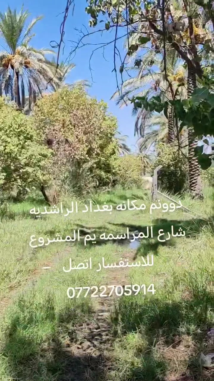 للاستفسار اتصل ***********
