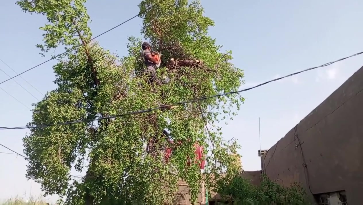 بستاني • تنسيق حدائق