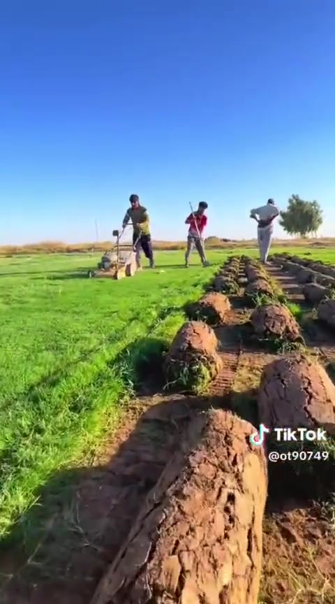 باسعار ثيل ديالى الطبيعي 🏡
أهلاً بكم في مجموعه مزارع ديالى لثيل الهندي الطبيعي 🌿🌱
 نقدم لكم افضل انوع الثيل الطبيعي عالي الجوده يتحمل كافه الضروف البيئية.🌦️🌞
دائم الخضرة🌿🌳 وباسعار تنافسيه وعروض مميزة ☘️❤️
#مستعدون لتجهيز وفرش الحدائق🏡 ودوائر الدولة🏡والمنازل🏡🏡
و تجهيز الملاعب🏟️ والمنتزهات بانسب الاسعار مع ضمان الجودة العالية في العمل👷👷

مع خدمة التوصيل خلال24ساعه🚛🚛  
الاسعار 💵💸 تختلف حسب الكمية 
للاستفسار الاتصال على : 
او التواصل مع الصفحه عن طريق ارسال رسالة على الوتساب او الاتصال📞‏
*********** 
***********
