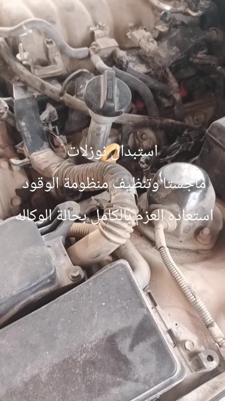 دخان اسود • عزم ضعيف • ماجستا