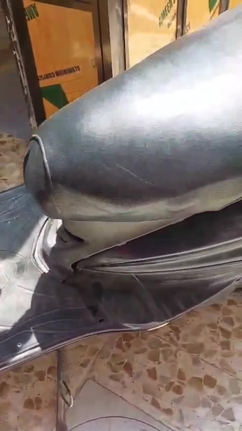دراجه للبيع في بغداد جديده 
دراجه نضيفه يحتاج بس غسله دهن جديد او نضيفه 
***********