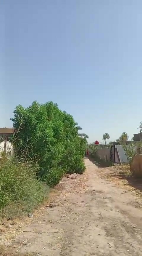 دونم للبيع ٢٥٠٠م طابو زراعي سند ٢٥ اسهم العنوان كربلاء طويريج الهنديه قرب الشارع الطبر الاستفسار *********** ***********
