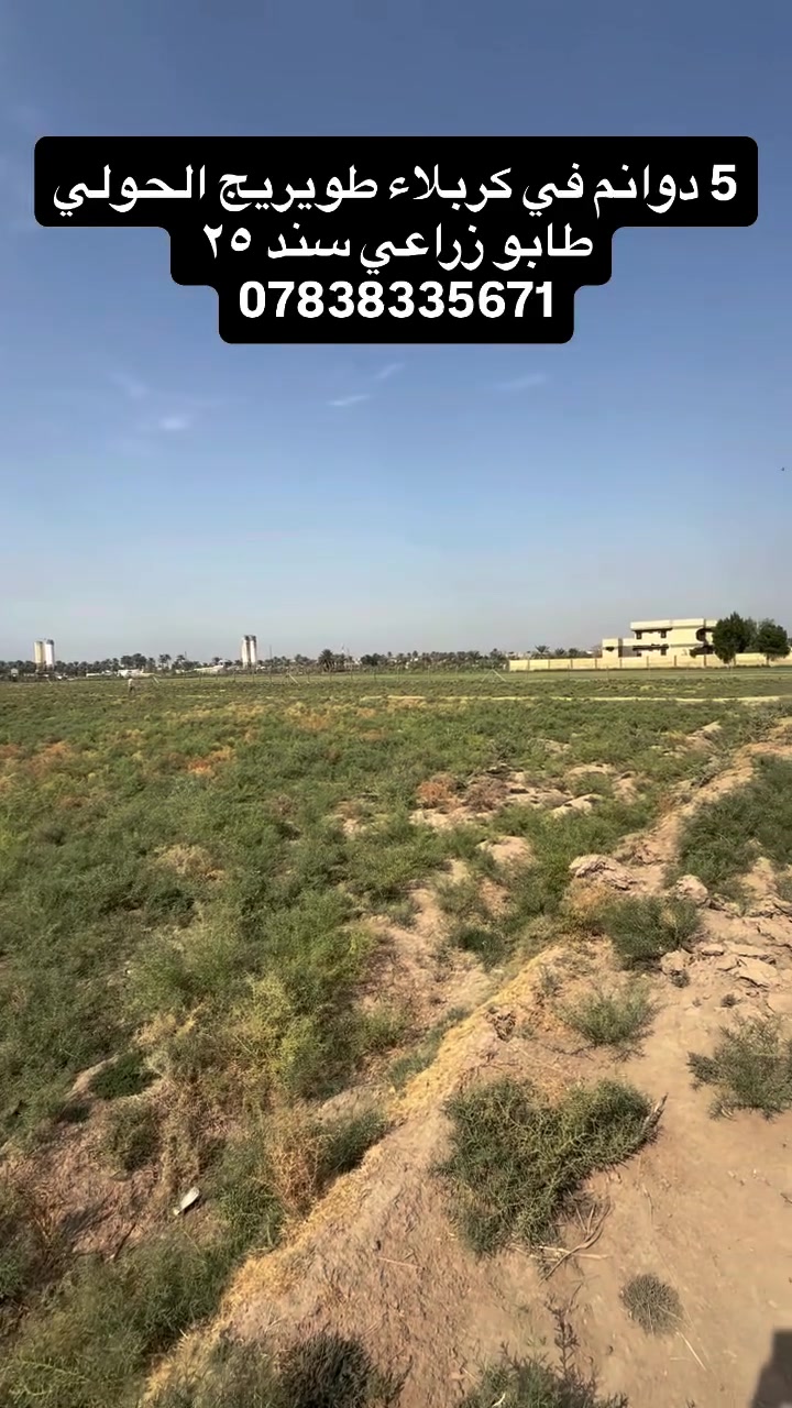 كربلاء طويريج الحولي • ٥ دوانم • طابو زراعي سند ٢٥