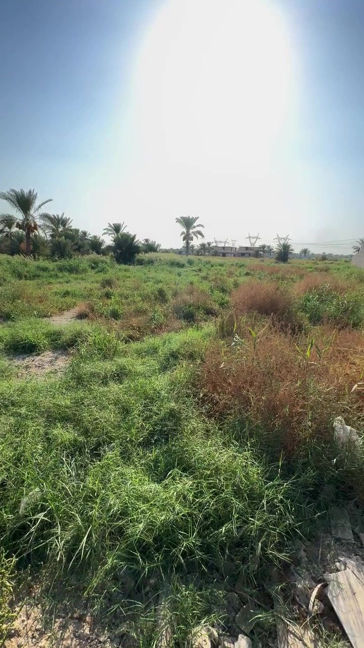 السلام عليكم قطعه ارض للبيع مساحه 2000 متر  زراعي ١١٧ مشمول بل تطويب
الاستفسار 
*********** 
صاحب الارض
