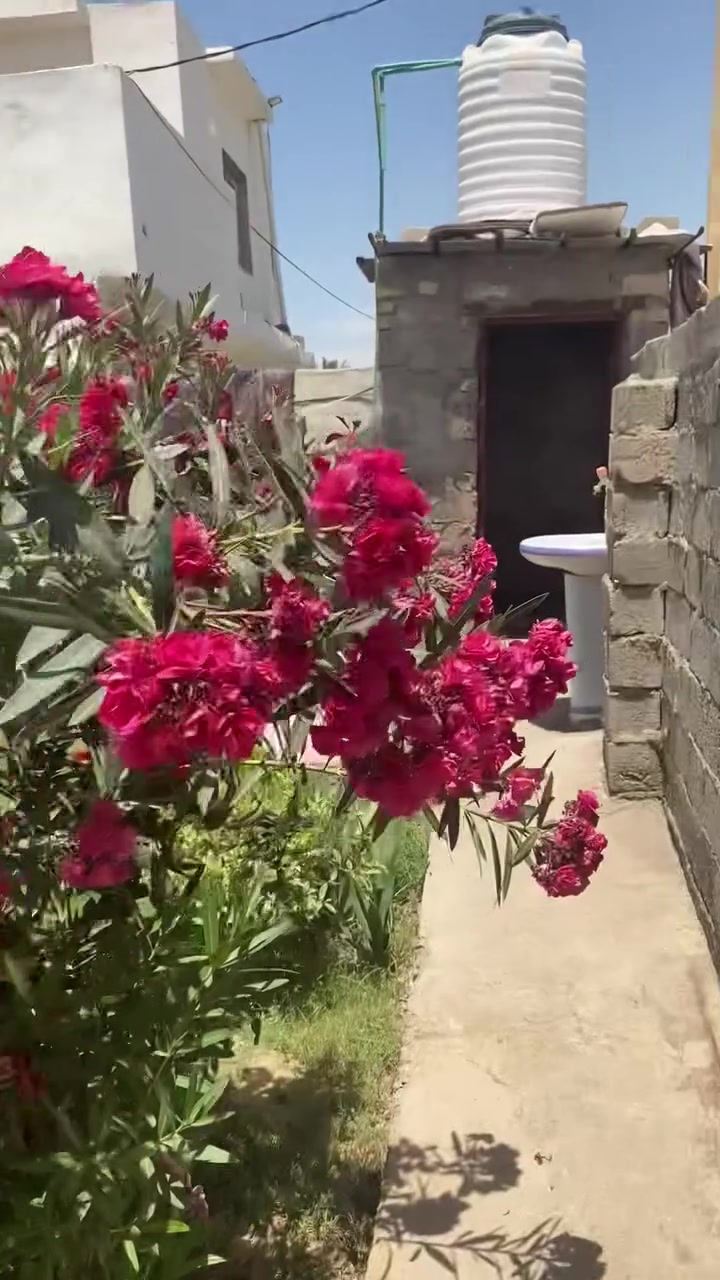 السلام عليكم بيت البيع  المساحه ٢٥٠ الواجهة ١٠ العنوان  لوفت الأحمدين قرب مدرست السالم الابداءيه. بيت سند ٢٥ تحويل عله طابو المحودية الاستفسار الاتصال  عله هاي الأرقام *********** - ***********٧
