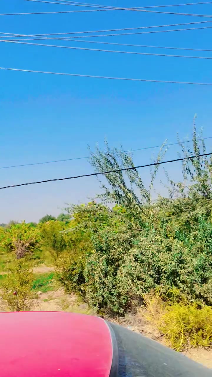 وصول بلابل وحشيات مال ديالى مخاليف وحيل سعر الواحد فقط 10 مكاني سامراء للاستفسار
***********

توصيل موجود
