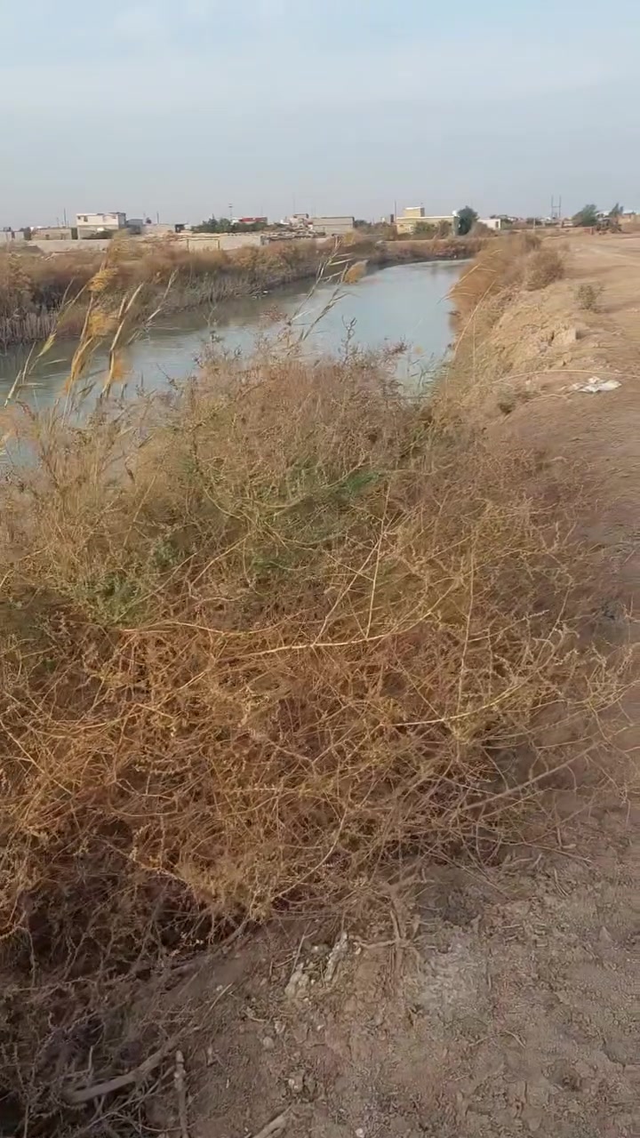 الفاو • ٥ دوانم ونص • طابو زراعي
