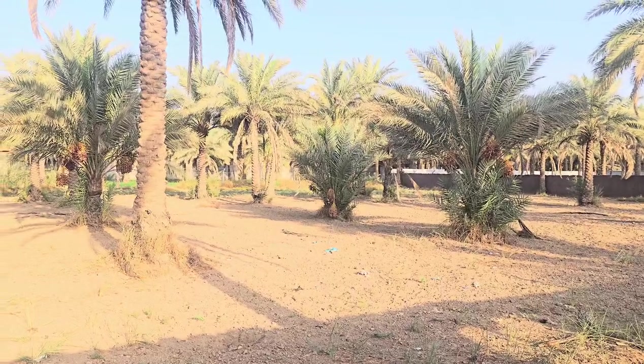 كربلاء الخطاطبه • ٢٥٠٠م • سند ٢٥
