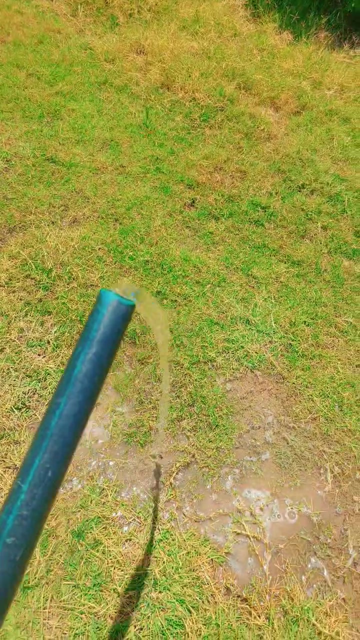 خلف جامعة بابل • نص دونم • سند ٢٥
