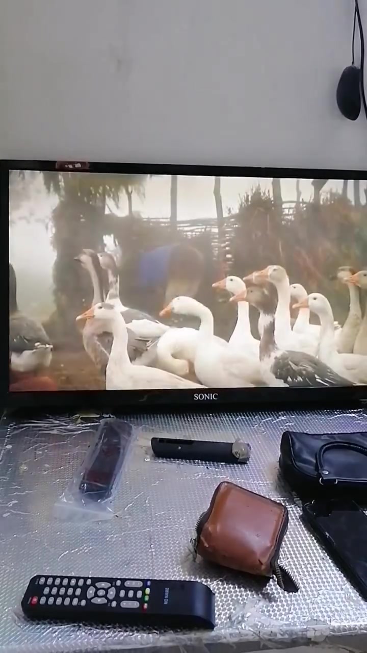 بلازما • ٣٢بوصة • شغال