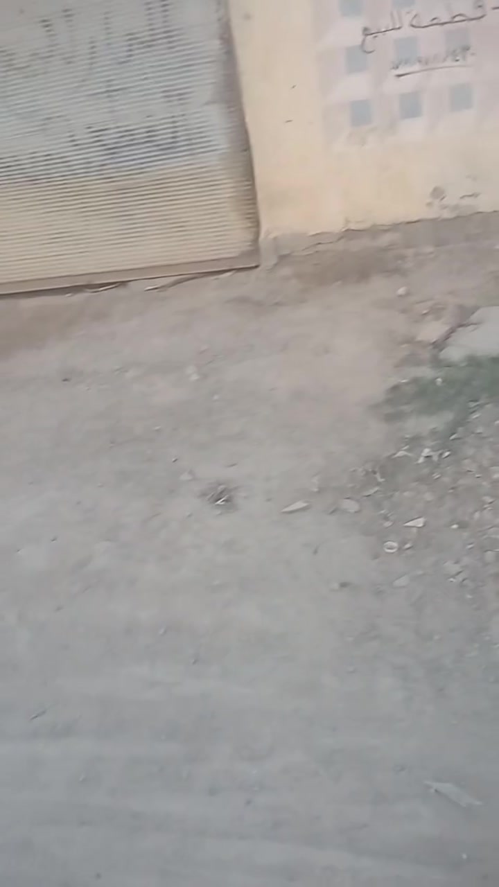 سلام عليكم بيت 160+قطعه160سند واحد طابو صرف حي الزهراء خلف مدرست جبل عامل وجه على ساحه اتصل وتدلل ***********
