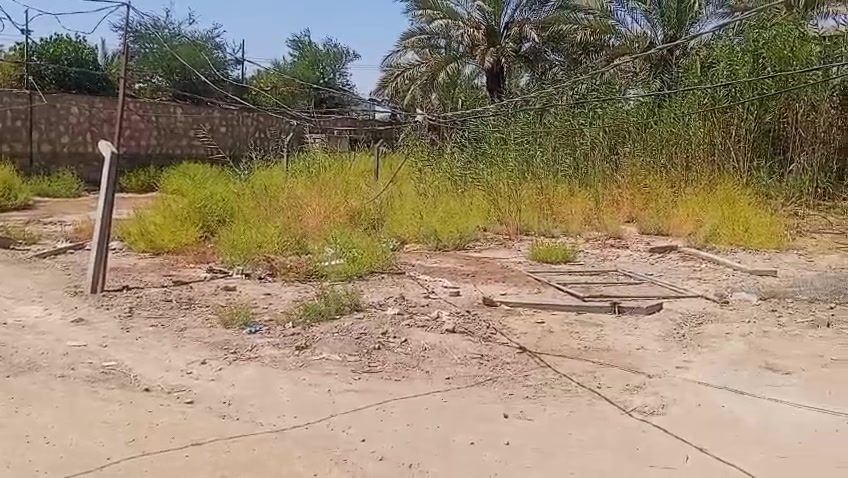 ٢٠٠ سند ٢٥ م طابو زراعي تحويل السعر ١٢ ماليون ترهم نقد وفقد قرب مخازن القمة قرب الجزائر عن المحافظة بابل  ٤كغم والفنون *********** يوجد واتساب
