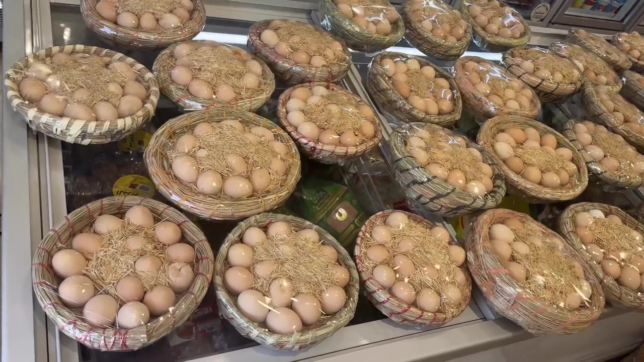 العنوان تكريت شارع اربعين مقابيل العناب
