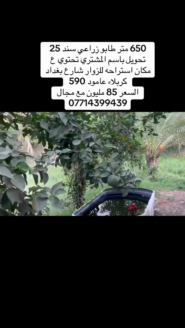 كربلاء • عامود ٥٩٠ • ٦٥٠م