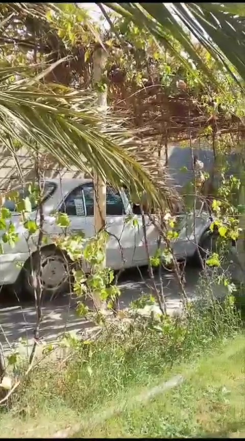 الجولان الثانية • ٤٠٠م • طابو زراعي