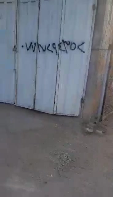 حله مزار العلويه • طابو زراعي • ٢٣٥م
