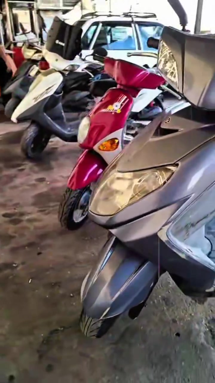 سكنس فحل • ماشيه 30الف • كفاله عامه