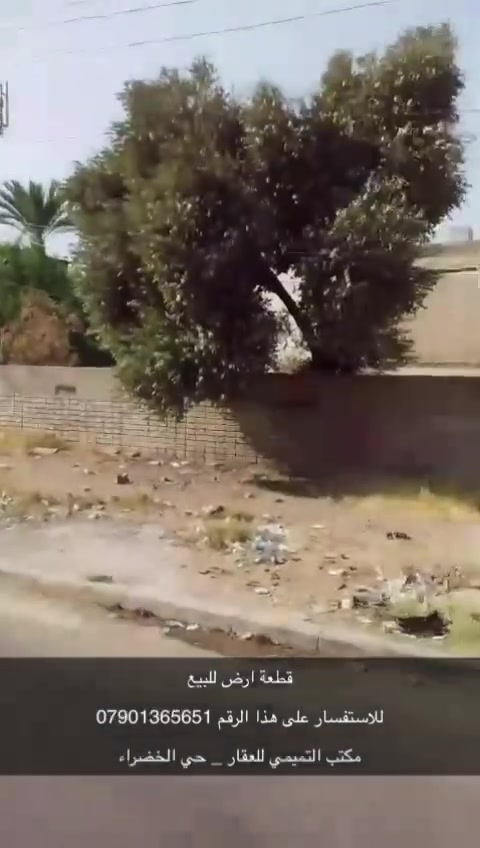 حي الخضراء • أرض • بدون تفاصيل