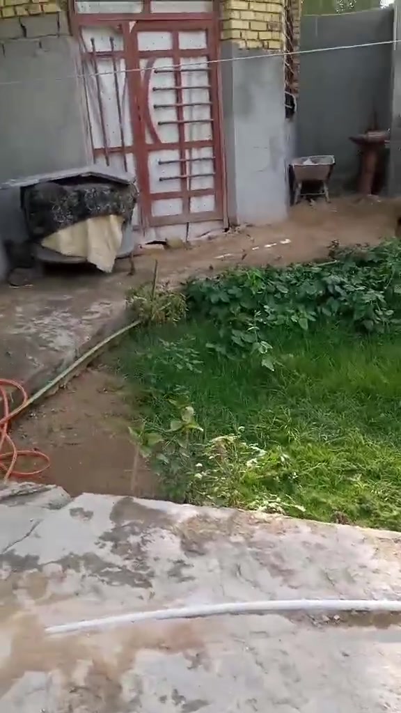 دار للبيع مساحه 225 كريطعه طابو زراعي سند ٢٥تحويل مباشر سعره ٦٥ من يرغب بشراء الاتصال ***********
