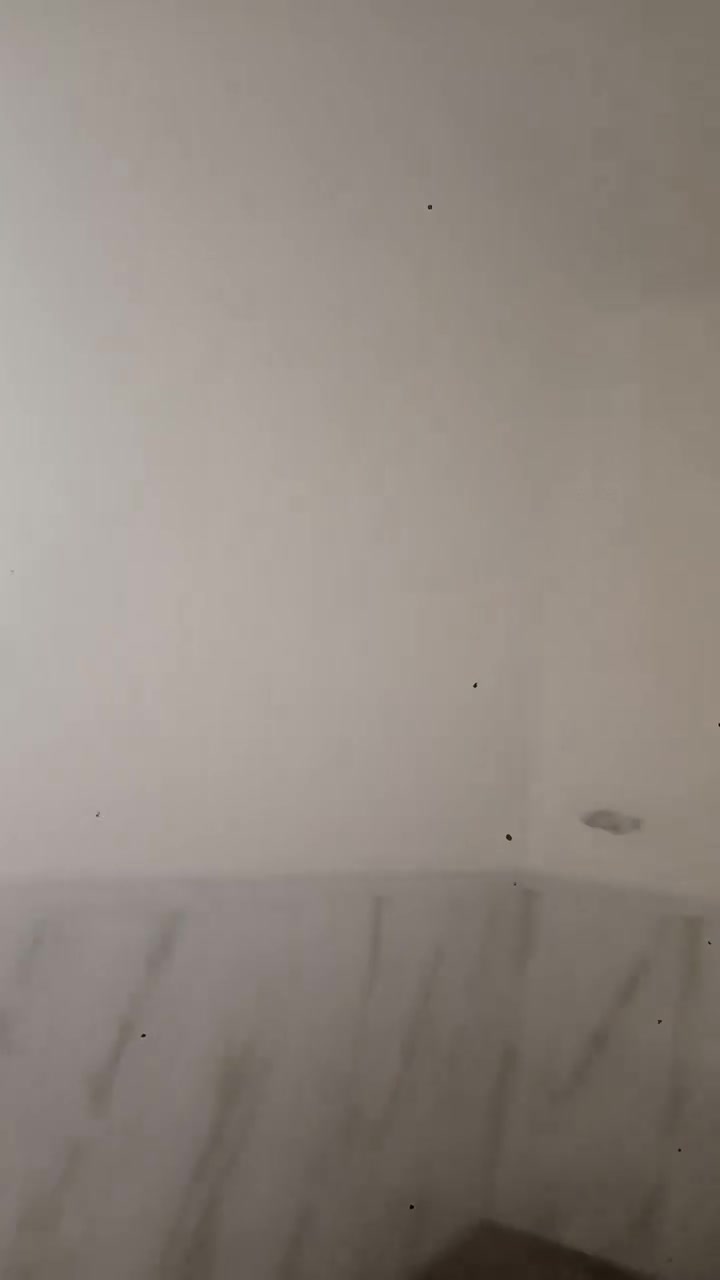 متفرغ سمنت وجص وبورك ***********
