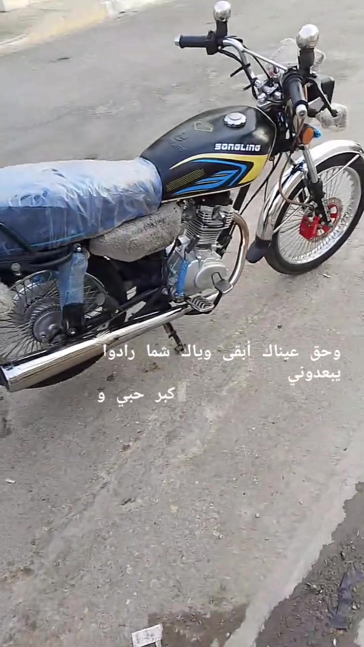 تايكر سونك • ٢٠٢٦ • مكاني