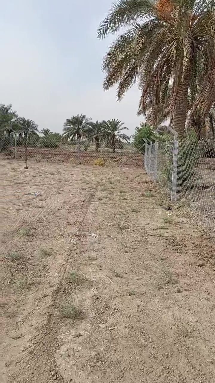 طابو زراعي • سند ٢٥ • ١٨٠٠م