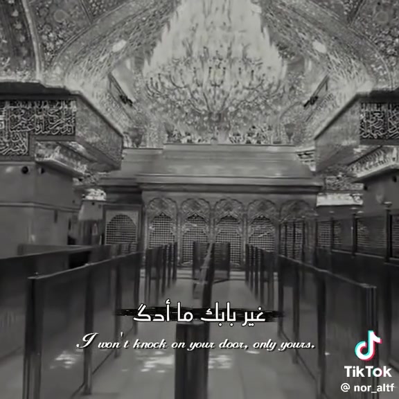 على بركة الله زيارتنا يوم الخميس بليل كربلاء مرجع الانطلاق الساعه الثامنه مساء العودة بعد صلاه الصبح للحجز الاتصال على *********** ومن الله القبول للجميع لسنا الوحيدين لكننا الأفضل
