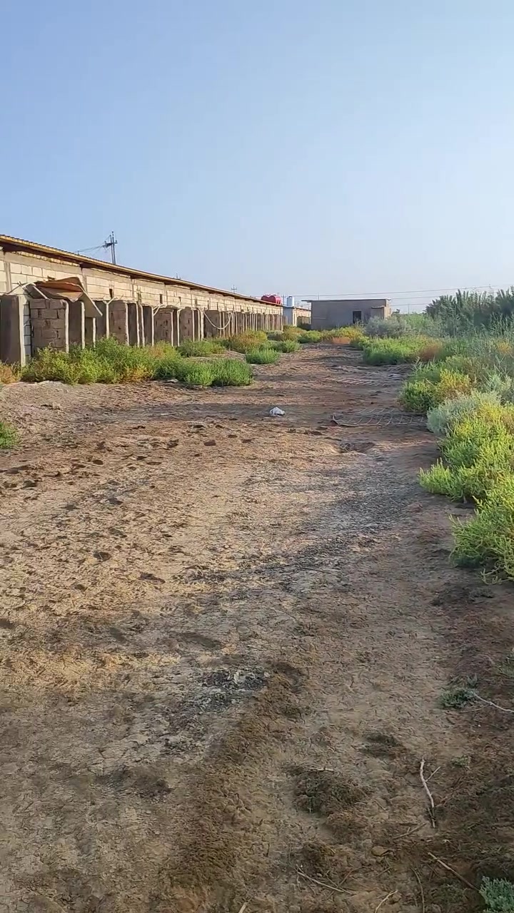 ٢٤٠٠٠ طير • ١٣ دونم • طابو سند