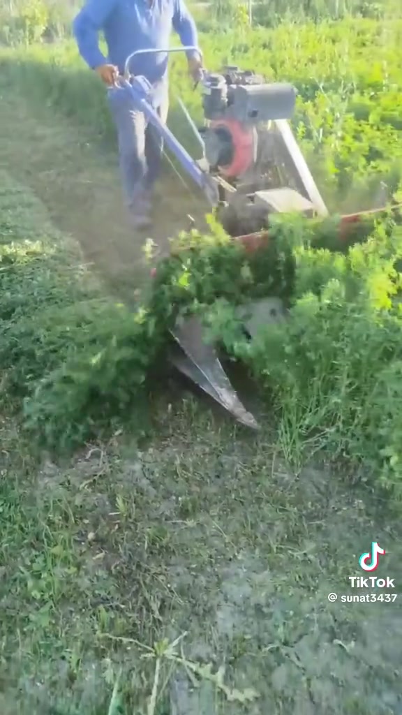سلام عليكم ورحمه الله وبركاته مكلف بنشر عندي حشاشوش لبيع وين أصحاب الحقول الأبقار  وحقول الغنم هاذه تفيدكم تريح چثير شغلات الاتصال وستفسار على هذه رقم***********
