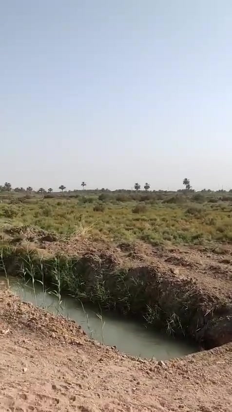 🔥 فرصة استثمارية استثنائية لا تُعوّض! 🔥
أرض زراعية بموقع استراتيجي ذهبي مباشر على السريع الدولي!
✨ اللهم صلِّ على محمد وآل محمد ✨
لكل من يبحث عن الاستثمار الناجح والموقع المميز، نعرض لكم قطعة أرض بمواصفات ممتازة:
📍 الموقع: محافظة بابل – ناحية الشوملي (قرب محطة أنوار بابل / على السريع الدولي مباشرةً).
الموقع يعتبر شريان تجاري واستثماري ممتاز بفضل إطلالته المباشرة على الطريق السريع.
📜 المساحة والسند:
المساحة: 12 دونم.
العائدية والشكل القانوني: طابو زراعي (سند 25) – أوراق رسمية وجاهزة.
💡 مميزات الأرض:
إطلالة مباشرة على الطريق السريع الدولي (مناسبة لمشاريع استثمارية، مخازن، محطات، أو استثمار زراعي وتجاري).
سهولة الوصول وموقع مخدوم وقريب من النقاط الحيوية.
📞 للإستفسار والتواصل:
يرجى مراسلة الصفحة عبر الرسائل الخاصّة، أو الاتصال 
على الرقم: [ *********** ] اخوكم ابو حمزة 

⚡ المكان جاهز والمعاينة ميدانية.. لا تفوّت الفرصة!
