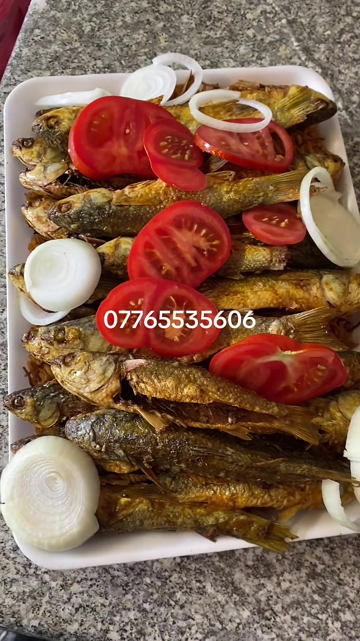 صباح الخير والعافية والبركة عليكم 🌿

*عروض اليوم من مطعم غسان أبو الجري:*

- *طبق جري* 10 قطع: 15,000 دينار
- *طبق زوري* 10 قطع خشن: 10,000 دينار
- *زبيدي نهري*: سعر القطعة 7,000 دينار
- *سمك كارب*: سعر السمكة 12,000 دينار

*العنوان*: بغداد - حي الخضراء، شارع البصرة قرب التسجيل العقاري
*رقم الحجز*: ***********

تحياتي للجميع
أخوكم أبو غسان 🐟
